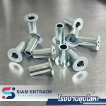 การชุบซิ้งค์ขาว (White Zinc Plating)