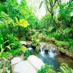 การจัดสวนรอบบ้าน กรุงเทพฯ - บริษัท พนา 1000 เมืองต้นไม้ จำกัด