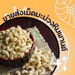 ขายส่งเม็ดมะม่วงหิมพานต์ - บริษัท 984 พอดี จำกัด