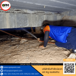 บริษัทรับกำจัดปลวกในโรงเรียนราคาถูก - บริษัท โอเปี้ยม เพสท์ แมเนจเม้นท์ จำกัด