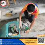 รับกำจัดปลวกด่วนร้านค้าใกล้ฉัน - บริษัท โอเปี้ยม เพสท์ แมเนจเม้นท์ จำกัด
