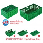 ลังพลาสติก - บริษัท แพลตตินั่ม โปร พลาสติก จำกัด