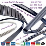 สายพาน - นวพงษ์ ดิสทริบิวชั่น (อมตะ)