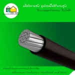 สายอลูมิเนียมหุ้มและสายอลูมิเนียมเปลือย (Aluminum Conductors Insulated and Bare) - บริษัท สโตร์ไฟฟ้า จำกัด