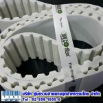 Timing Belt PU - บริษัท ศูนย์รวมสายพานอุตสาหกรรมไทย จำกัด