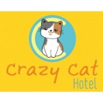 โรงแรมแมว Crazy Cat Hotel เครซี แคท โฮเทล  - บริษัท มี แอนด์ ดีไซน์ จำกัด