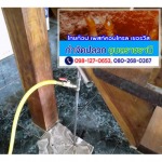 กำจัดปลวก ศรีสะเกษ - ร้านไทยท็อป เพสท์คอนโทรล เซอร์วิส
