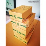 โรงงานผลิตกล่องลายเขียวฝาชน พระราม 2 - รับผลิตและขายส่งกล่องพัสดุไปรษณีย์ พระราม 2