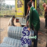 จัดส่งรั้วตาข่ายทั่วประเทศ - บริษัท บุนย์วานิช อินเตอร์เนชั่นแนล จำกัด