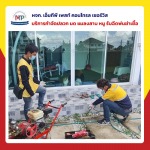 รับกำจัดปลวกราคาถูกชลบุรี - บริษัท มิตรภาพ เซอร์วิส กรุ๊ป จำกัด (สาขาพัทยา)