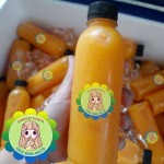 ขายส่งน้ำส้มคั้นแท้ 100% - Sirorat Shops 