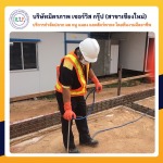 รับฉีดปลวก กำจัดปลวก เชียงใหม่ - บริษัท มิตรภาพ เซอร์วิส กรุ๊ป จำกัด (สาขาเชียงใหม่)