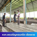 ผู้ผลิตเสาเข็มคอนกรีตราคาโรงงาน - บริษัท พรเจริญ เทมเปอร์ เซฟตี้ กลาส จำกัด