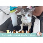 ร้านอาบน้ำแมว สมุทรปราการ