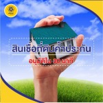 สินเชื่อที่ดินค้ำประกัน