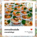 อาหารเด็กแช่แข็ง