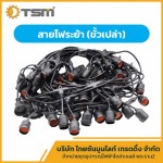 สายไฟระย้า (ขั้วเปล่า) พระราม 2