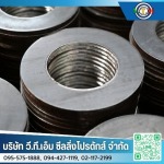 ปะเก็นเหล็ก