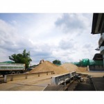 ทรายถม ปทุมธานี - ท่าทรายคุนกี่ - ปทุมธานี
