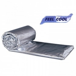 Cold Insulation