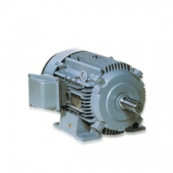 มอเตอร์กันระเบิด / HITACHI EXPLOSION PROOF MOTORS