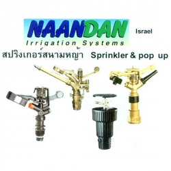 สปริงเกอร์