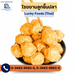 รับผลิตลูกชิ้นปลา OEM