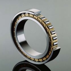 ตลับลูกปืนเม็ดทรงกระบอก / Cylindrical Roller Bearings
