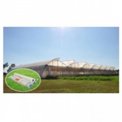 Green House Green House Nonthaburi
