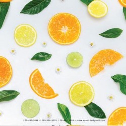 กลิ่นน้ำหอมแนวสดชื่น Citrus