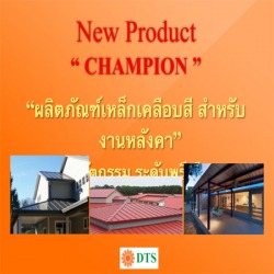 ผลิตภัณฑ์เหล็กเคลือบสี