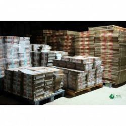 Corrugated Box Factory Rama 2