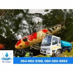 Fish pond water replenishment service