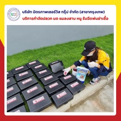 บริษัทรับกำจัดหนู วางเหยื่อล่อหนู กรุงเทพ