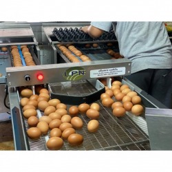 เครื่องคัดไข่ดิจิตอล
