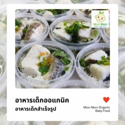 อาหารเด็กออแกนิค
