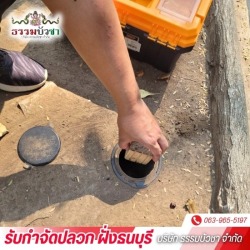 กำจัดปลวกราคาถูก ใกล้ฉัน