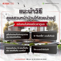 แนะนำวิธีดูแลสวนหน้าบ้านให้สวยน่าอยู่ ฉบับคนไม่ค่อยมีเวลา