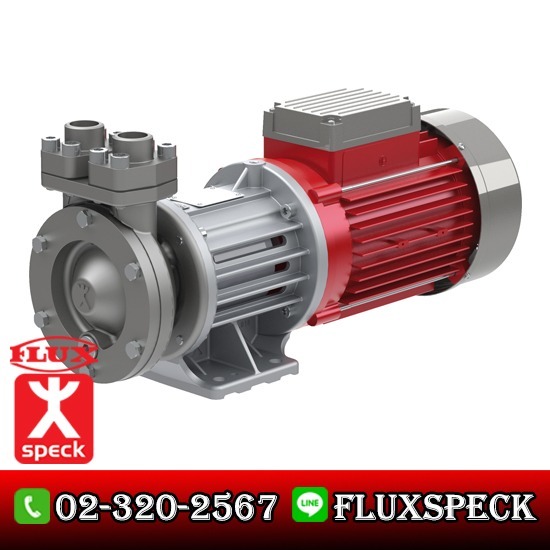 Regenerative Turbine Pump with Magnetic Drive Regenerative Turbine Pump with Magnetic Drive 