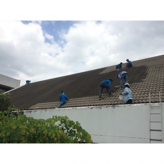 Roofing Contractor Roofing Contractors Roofing  sheet metal roofing  ceiling  roofing  roofing knock down 