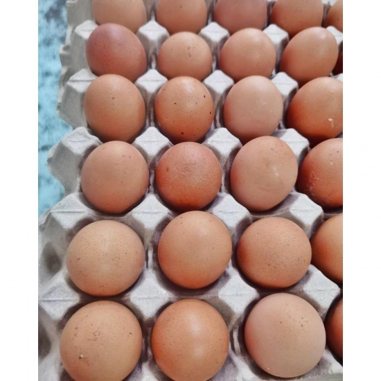 ไข่ไก่จากฟาร์ม ไข่ไก่จากฟาร์ม  ฟาร์มไข่ไก่ชลบุรี  ราคาไข่ไก่ ฟาร์มไก่ไข่  ขายส่งไข่ไก่  ไข่ไก่สด  ขายไข่ไก่ราคาถูก  แหล่งขายไข่ไก่  ไข่ไก่ราคาหน้าฟาร์ม 