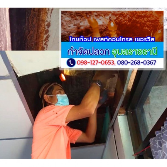 บริษัทกำจัดปลวก อุบลราชธานี บริษัทกำจัดปลวก อุบลราชธานี ราคา  บริษัทกำจัดปลวก อุบลราชธานี วารินชำราบ  บริษัทกำจัดปลวก เมืองอุบลราชธานี  บริษัทกำจัดปลวก อุบลราชธานี ใกล้ฉัน  บริษัทกำจัดปลวก อุบลราชธานี ราคาถูก  บริษัทกำจัดปลวกราคาถูก อุบลราชธานี  บริษัทกำจัดปลวกใกล้ฉัน อุบลราชธานี  บริษัทกำจัดปลวก อุบลราชธานี 