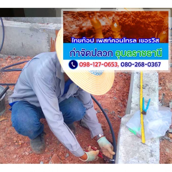กำจัดปลวก ร้อยเอ็ด กำจัดปลวก ร้อยเอ็ด ราคา  กำจัดปลวก ร้อยเอ็ด ราคาถูก  กำจัดปลวก ร้อยเอ็ด ใกล้ฉัน  กำจัดปลวกราคา ร้อยเอ็ด  กำจัดปลวกราคาถูก ร้อยเอ็ด  กำจัดปลวกใกล้ฉัน ร้อยเอ็ด  บริษัทกำจัดปลวก ร้อยเอ็ด  บริษัทกำจัดปลวก ร้อยเอ็ด ใกล้ฉัน  กำจัดปลวก ร้อยเอ็ด 