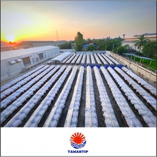 soybean paste factory soybean paste factory  for the production of soybean paste  Natural fermented soybean paste 