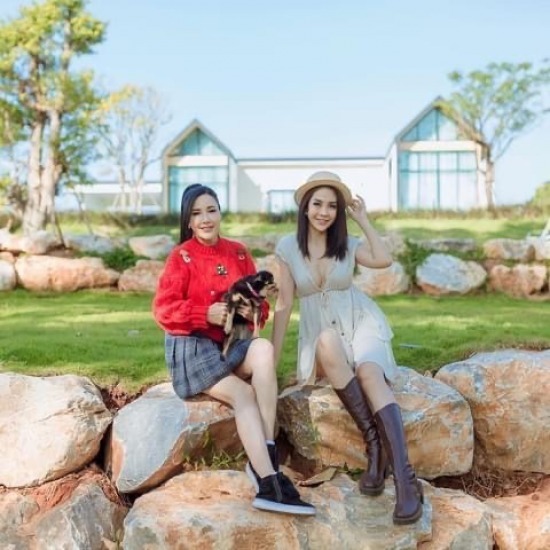 Khao Yai accommodation, pets are allowed. Khao Yai accommodation pets allowed  Khao Yai accommodation cats allowed 2023  Khao Yai accommodation  dogs allowed 2023  pool villa  dogs allowed in Khao Yai  Khao Yai resort  dogs allowed  cheap price  Pool Villa Khao Yai 