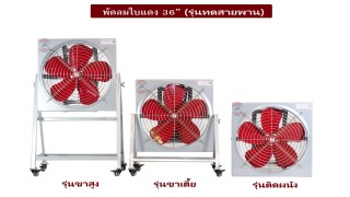 พัดลมใบแดง รุ่นทดสายพาน พัดลมใบแดง รุ่นทดสายพาน
