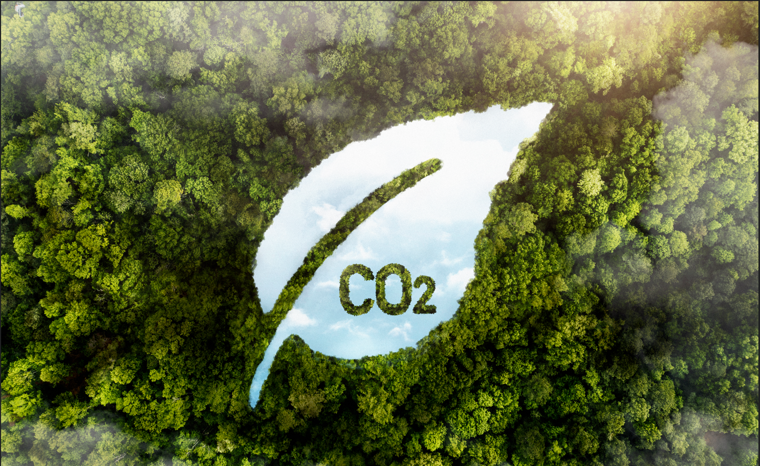 Carbon Footprint ไขข้อสงสัยผู้ประกอบการและ SME ต้องให้ความสำคัญกับเรื่องนี้ Carbon Footprint ไขข้อสงสัยผู้ประกอบการและ SME ต้องให้ความสำคัญกับเรื่องนี้